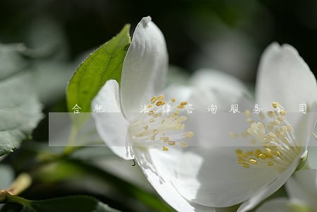 合肥 法律咨询服务公司 合肥 法律咨询服务公司